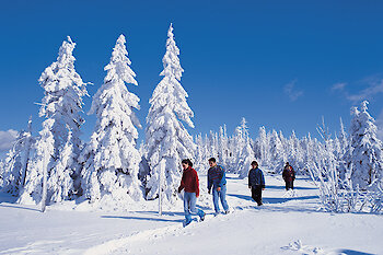 Schneeschuhwandern Bayerischer Wald
